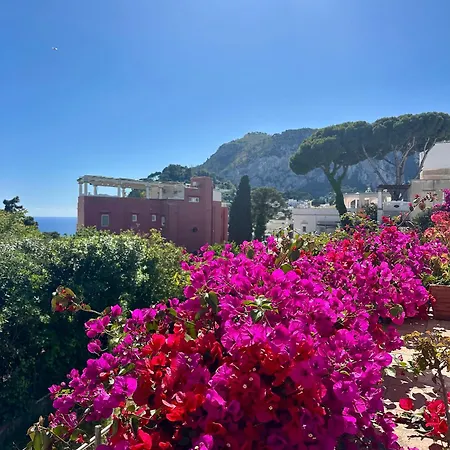 Joy * Capri