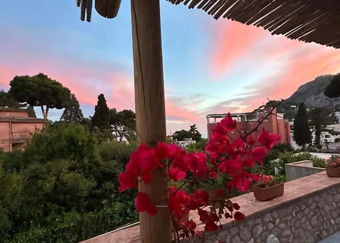 Joy Prázdninový dům *